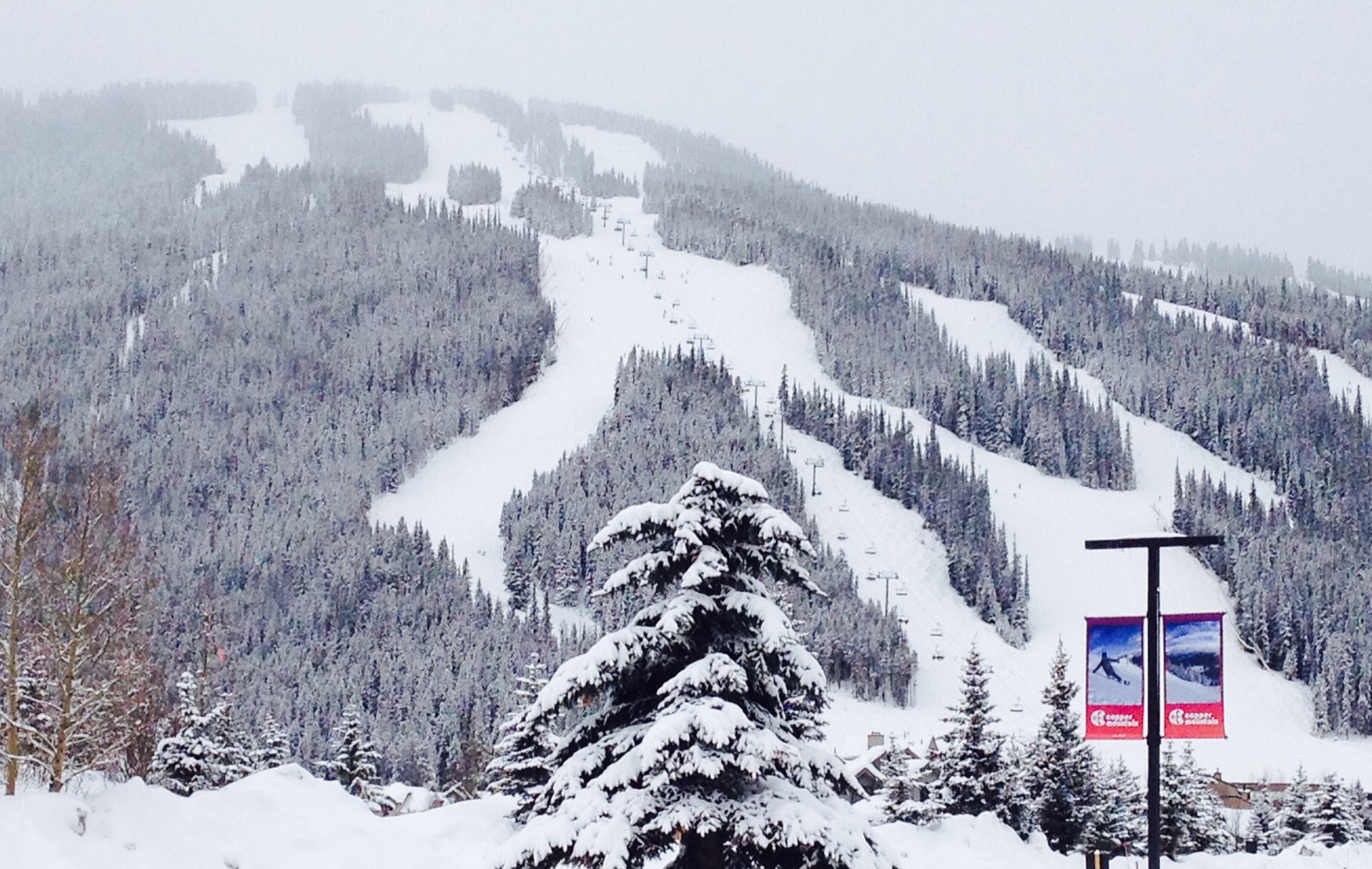 Copper Mountain powder