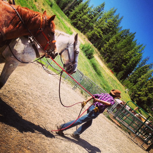 Horseback trail rides at Copper Mountain