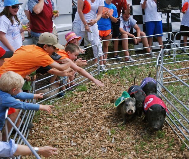 Frisco BBQ Challenge