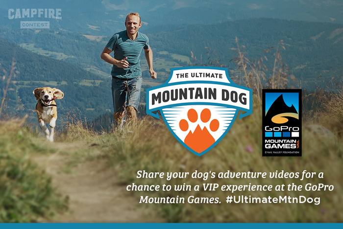 Mountain dog contest