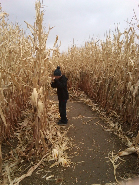 Colorado agritourism