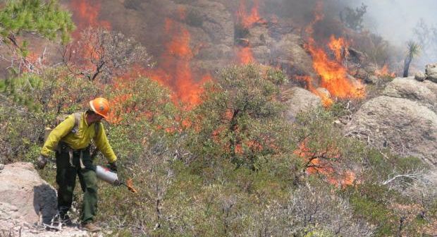 Colorado wildfires