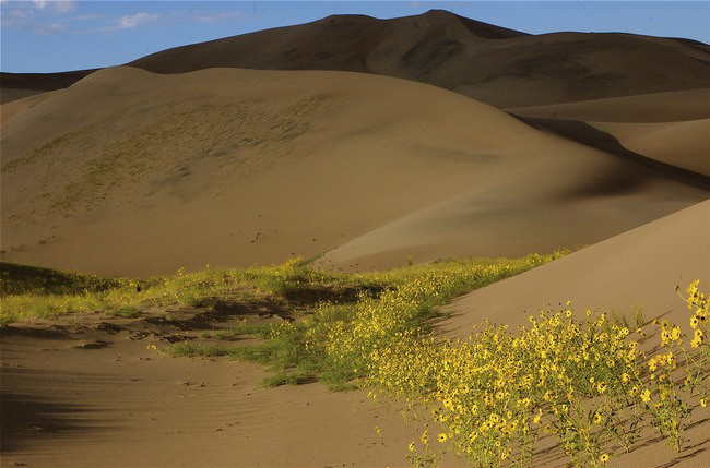 Great Sand Dunes National Park