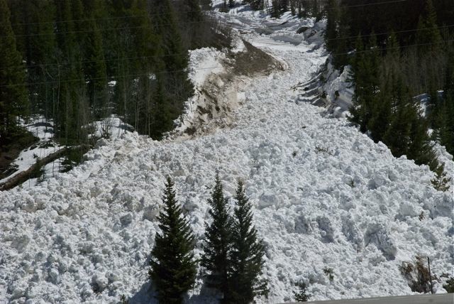 wet snow avalanche Colorado